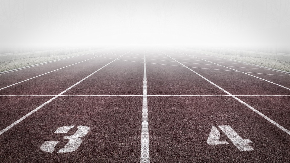 How Player Performance Data Affects Sports Betting Odds