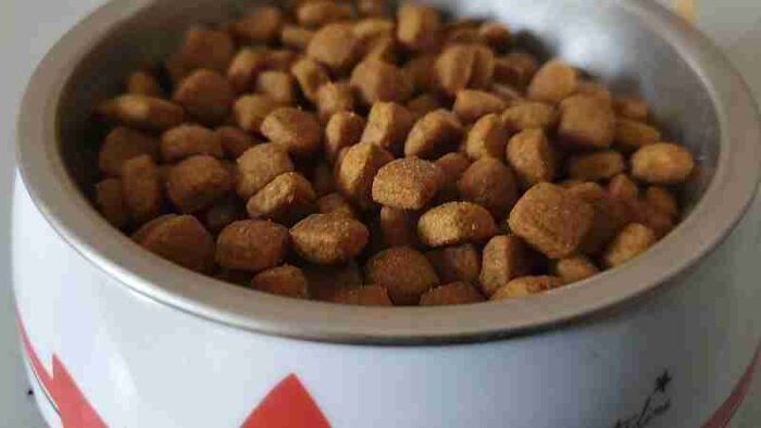 Gastrointestinal Haiball cat dry food ( Royal Canin), tags: pflanzliche tiernahrung für - CC BY-SA